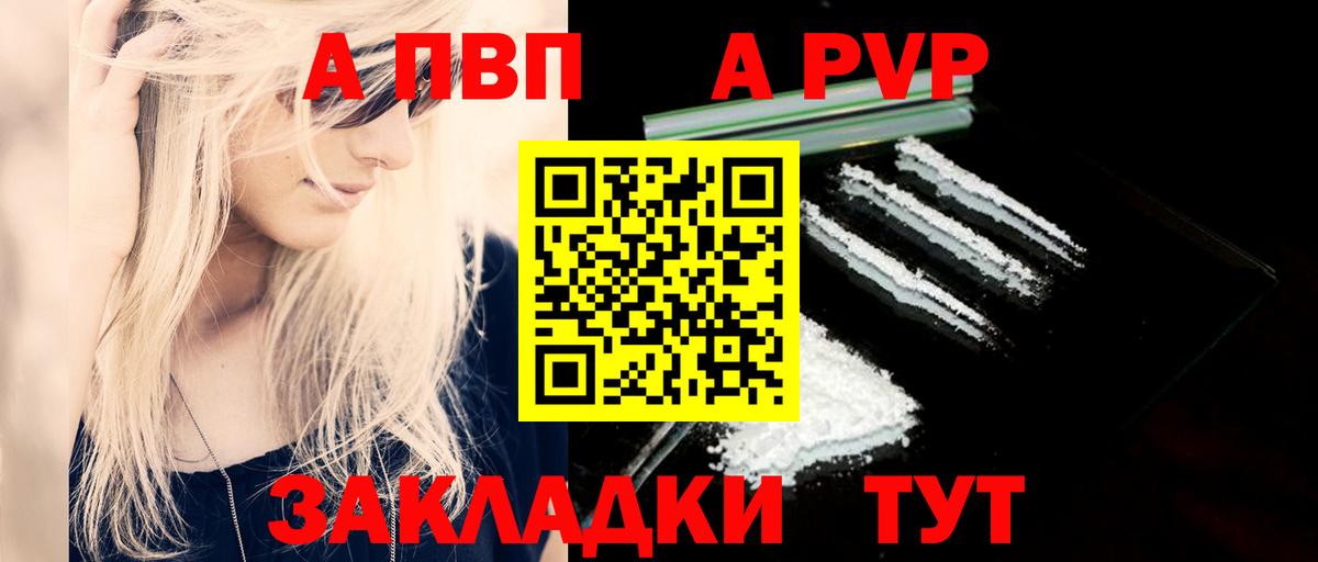 Alfa_PVP СК Майкоп
