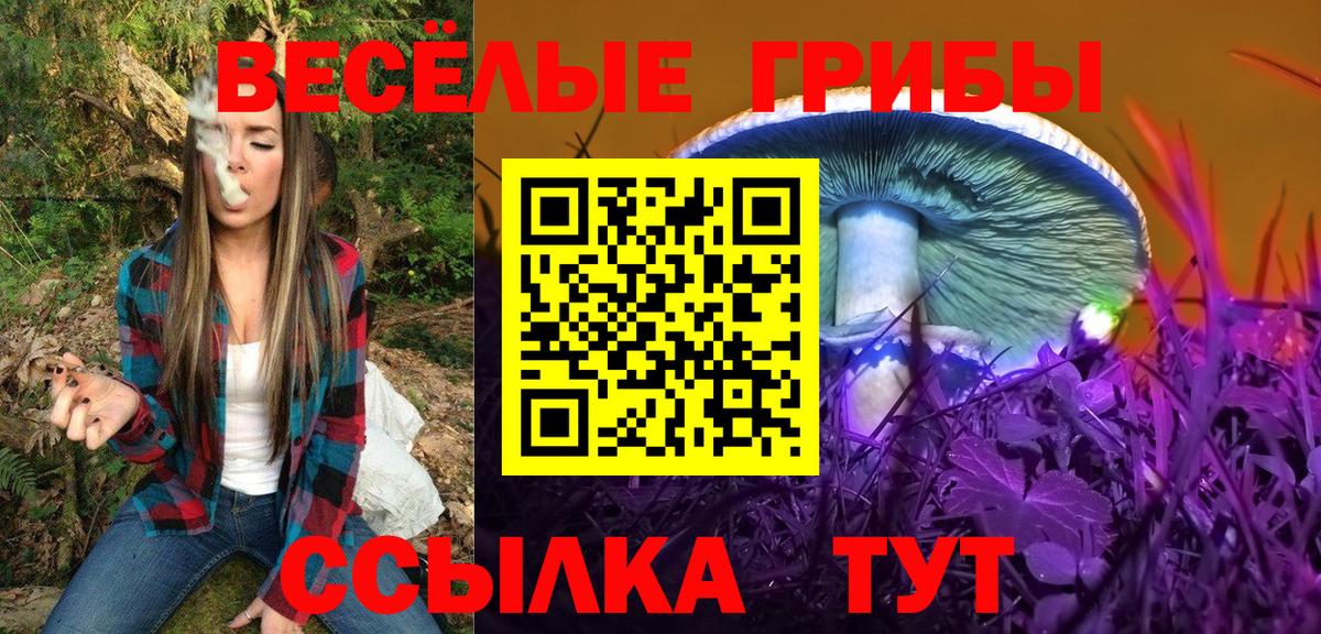 Майкоп  Галлюциногенные грибы MAGIC MUSHROOMS  хочу наркоту  Вход с VPN  Галлюциногенные грибы мухоморы 