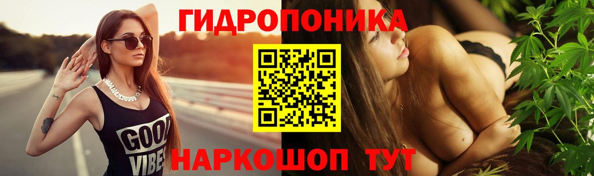 Конопля AK-47 Майкоп